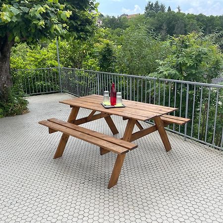 Paisible Eden Standing Terrasse - Magnifique Vue - Esprit Nature En Pleine Ville Tulle Luaran gambar