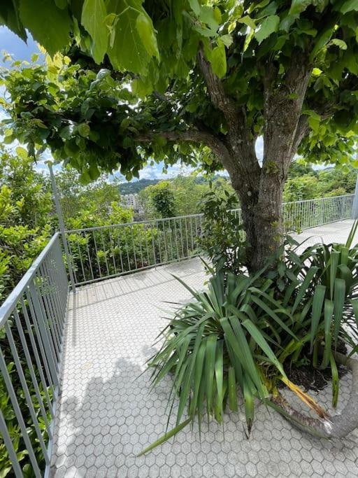 Paisible Eden Standing Terrasse - Magnifique Vue - Esprit Nature En Pleine Ville Tulle Luaran gambar
