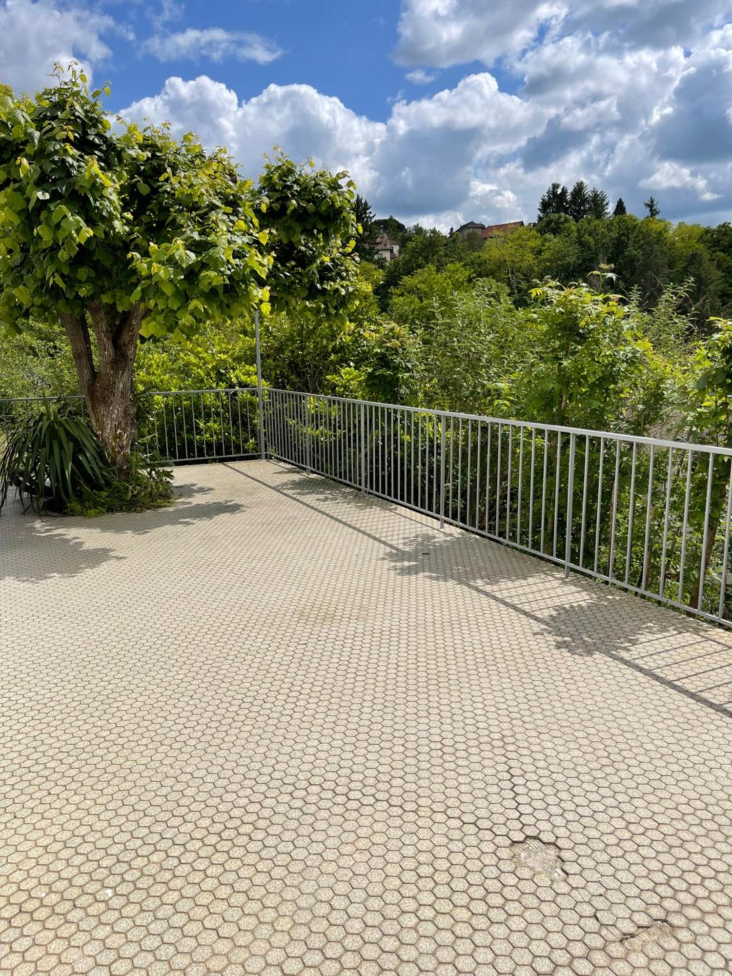 Paisible Eden Standing Terrasse - Magnifique Vue - Esprit Nature En Pleine Ville Tulle Luaran gambar