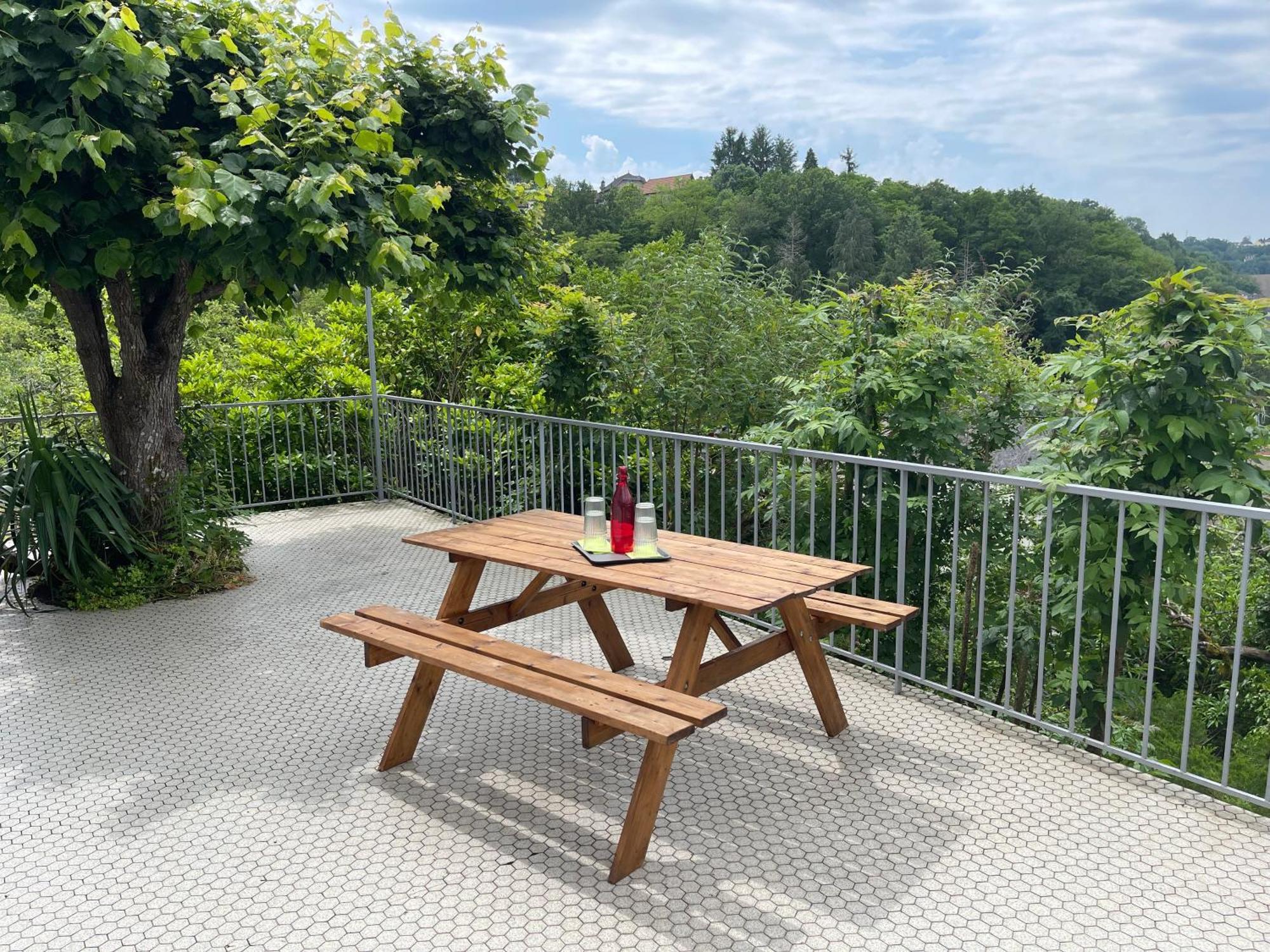 Paisible Eden Standing Terrasse - Magnifique Vue - Esprit Nature En Pleine Ville Tulle Luaran gambar